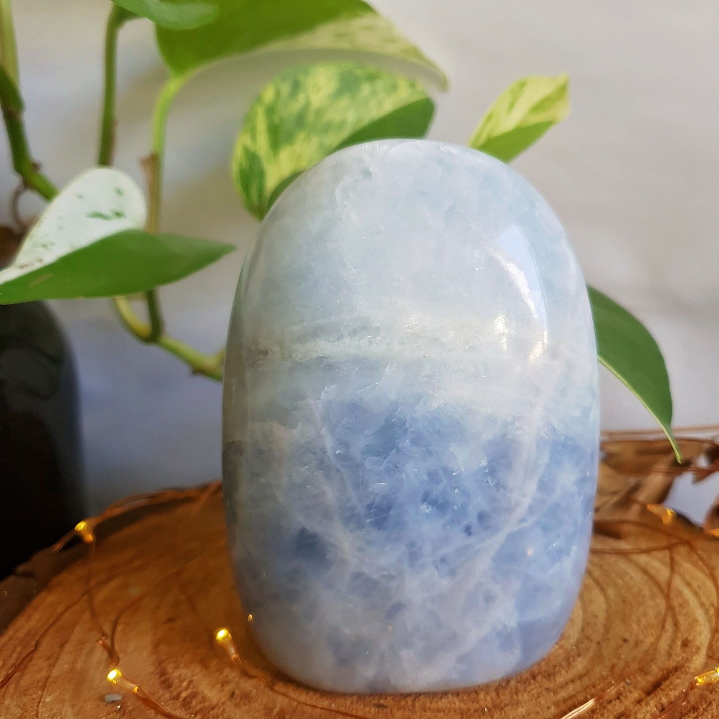 Blue Calcite Polished Freeform #3