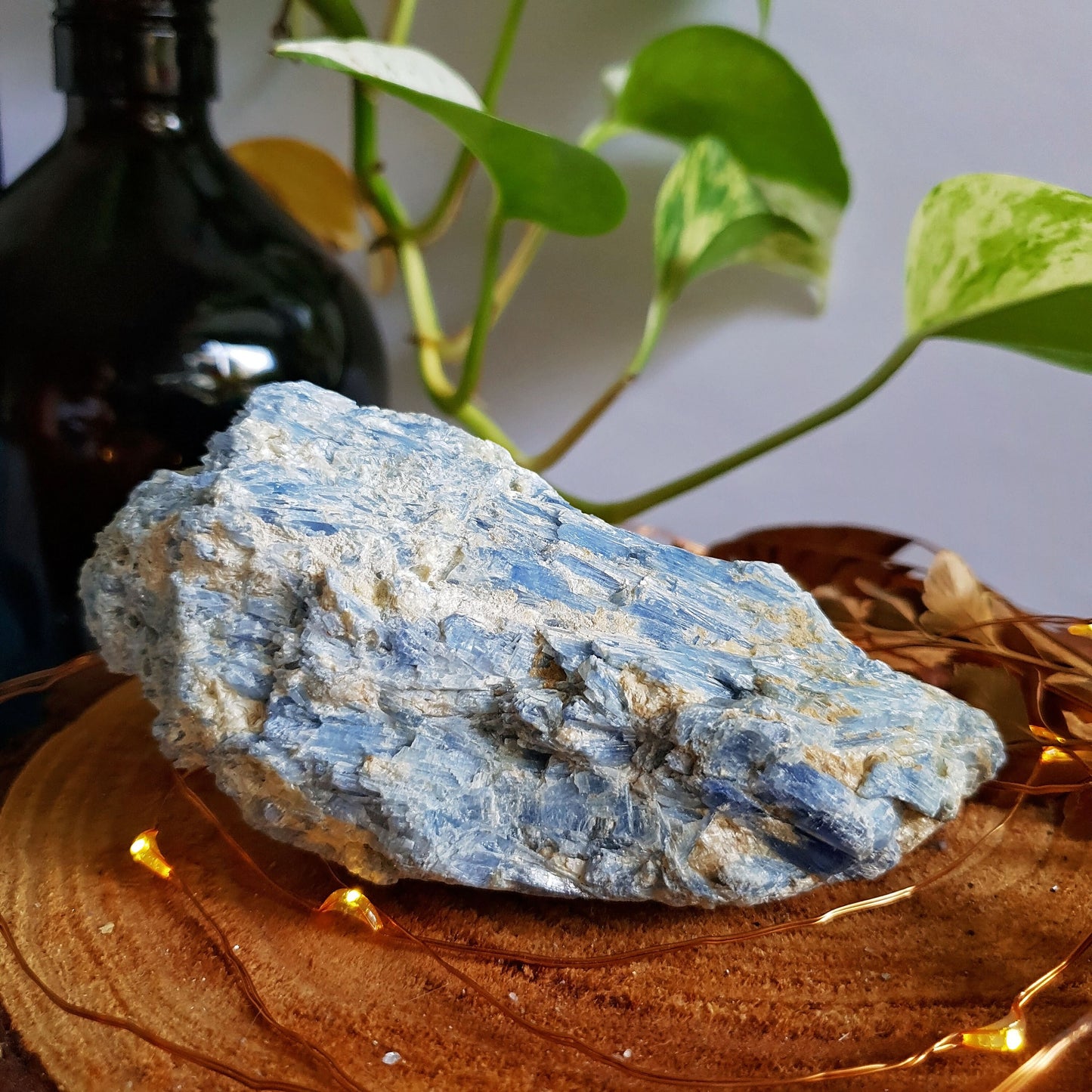 Blue Kyanite Blade Cluster - Raw - Natural - Crystal - Chakra - Gemstone - Chunk - #1