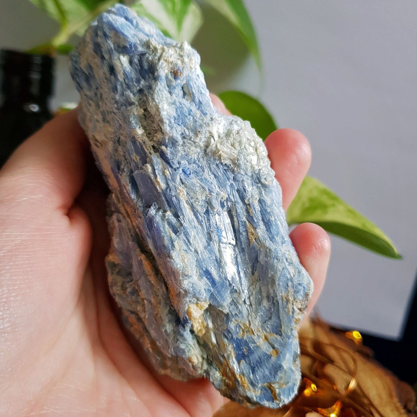 Blue Kyanite Blade Cluster - Raw - Natural - Crystal - Chakra - Gemstone - Chunk - #1