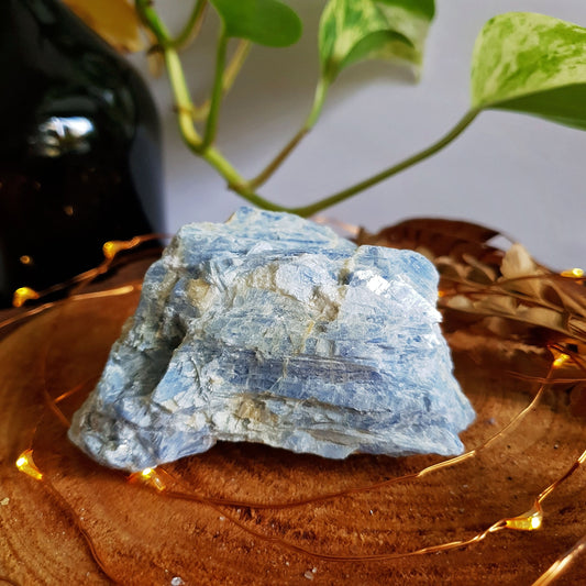 Blue Kyanite Blade Cluster - Raw - Natural - Crystal - Chakra - Gemstone - Chunk - #2