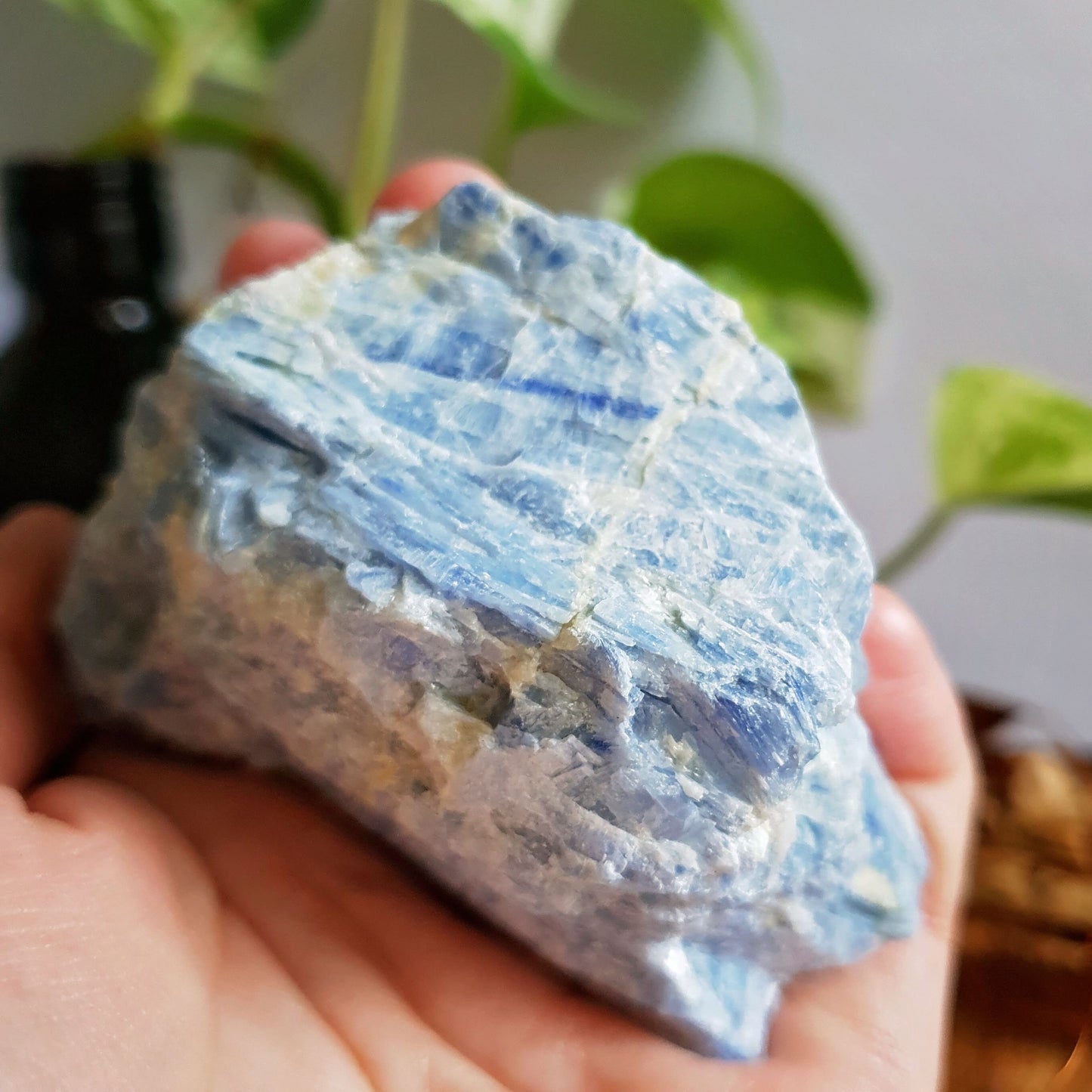 Blue Kyanite Blade Cluster - Raw - Natural - Crystal - Chakra - Gemstone - Chunk - #2