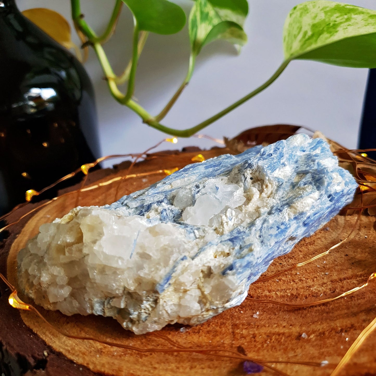 Blue Kyanite Blade Cluster - Raw - Natural - Crystal - Chakra - Gemstone - Chunk - #3