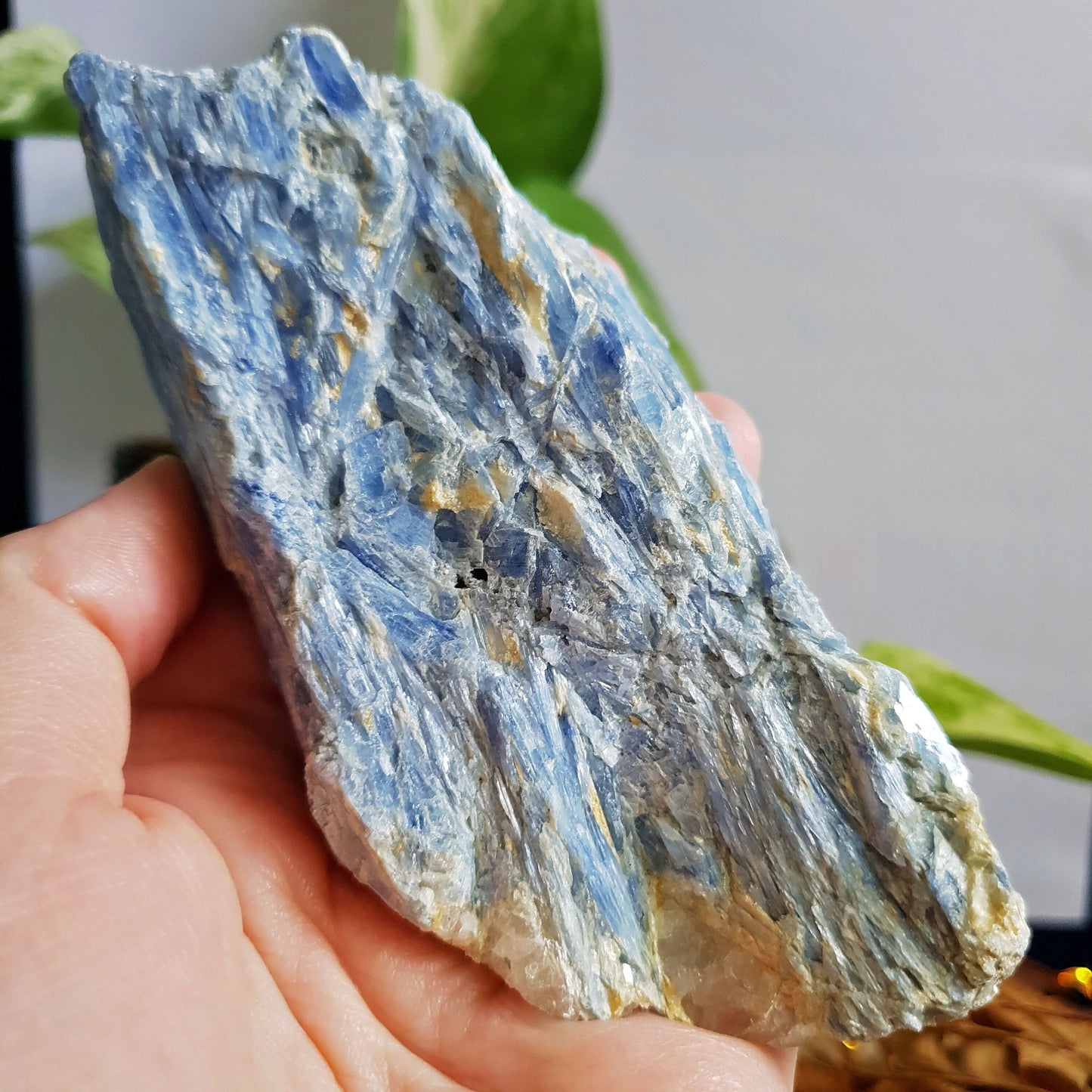 Blue Kyanite Blade Cluster - Raw - Natural - Crystal - Chakra - Gemstone - Chunk - #3