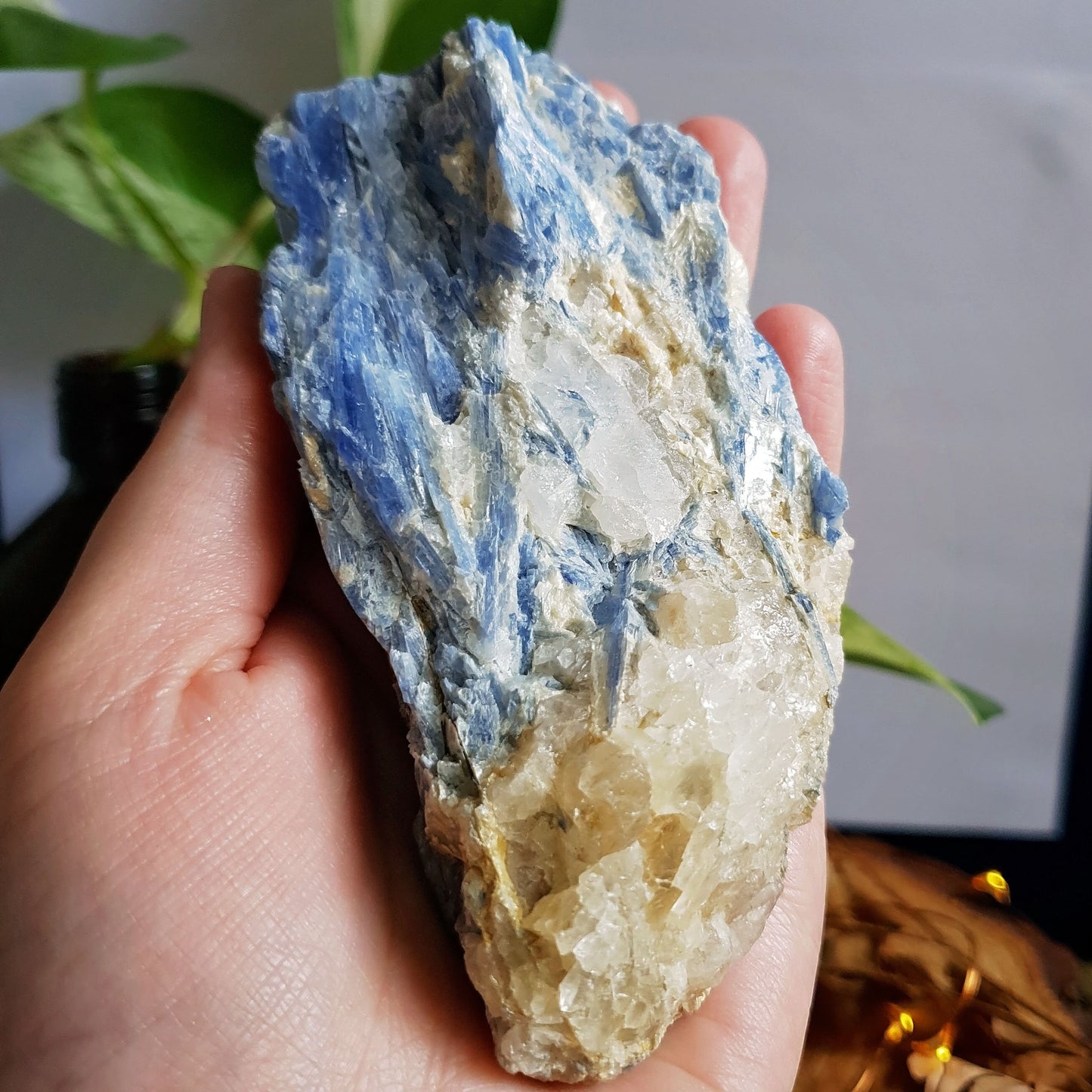 Blue Kyanite Blade Cluster - Raw - Natural - Crystal - Chakra - Gemstone - Chunk - #3