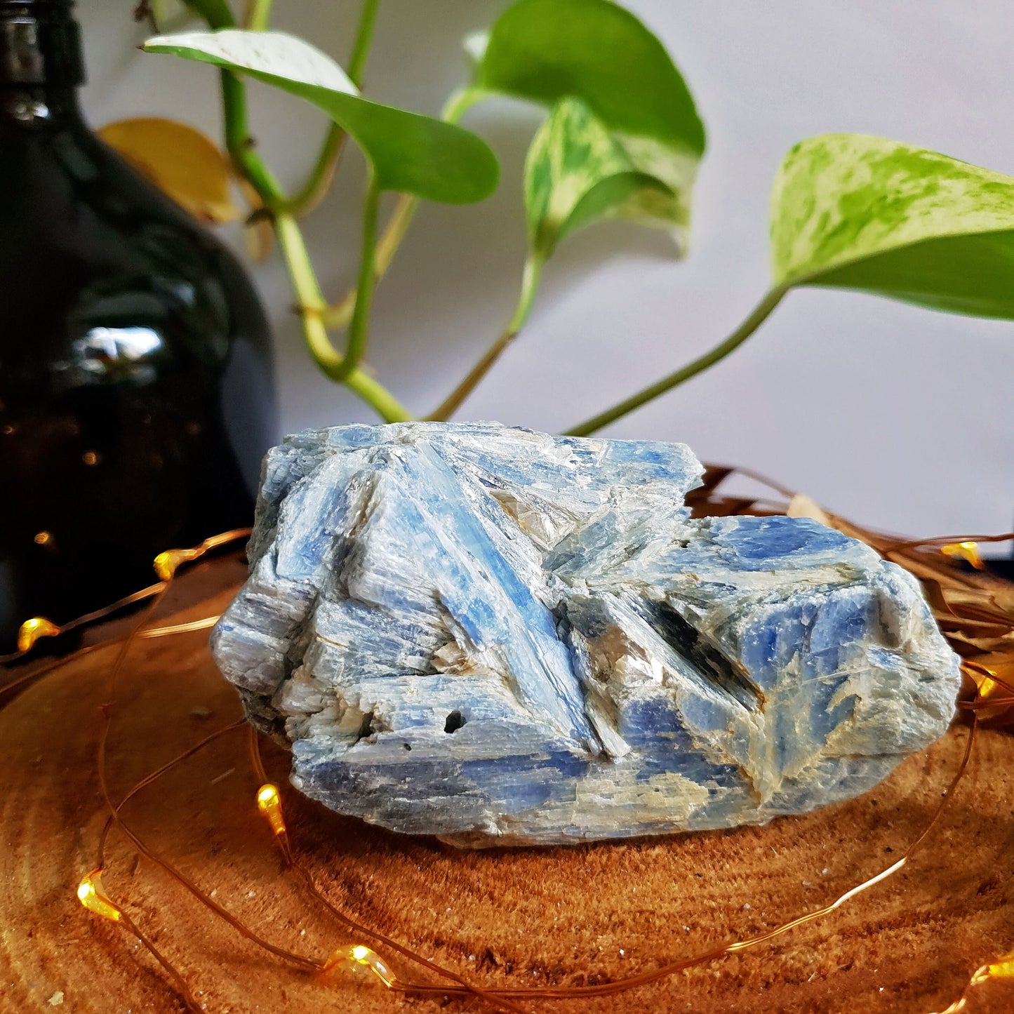 Blue Kyanite Blade Cluster - Raw - Natural - Crystal - Chakra - Gemstone - Chunk - #4