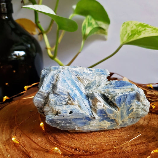 Blue Kyanite Blade Cluster - Raw - Natural - Crystal - Chakra - Gemstone - Chunk - #4