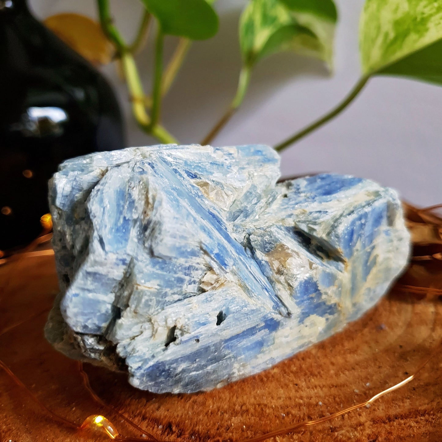 Blue Kyanite Blade Cluster - Raw - Natural - Crystal - Chakra - Gemstone - Chunk - #4