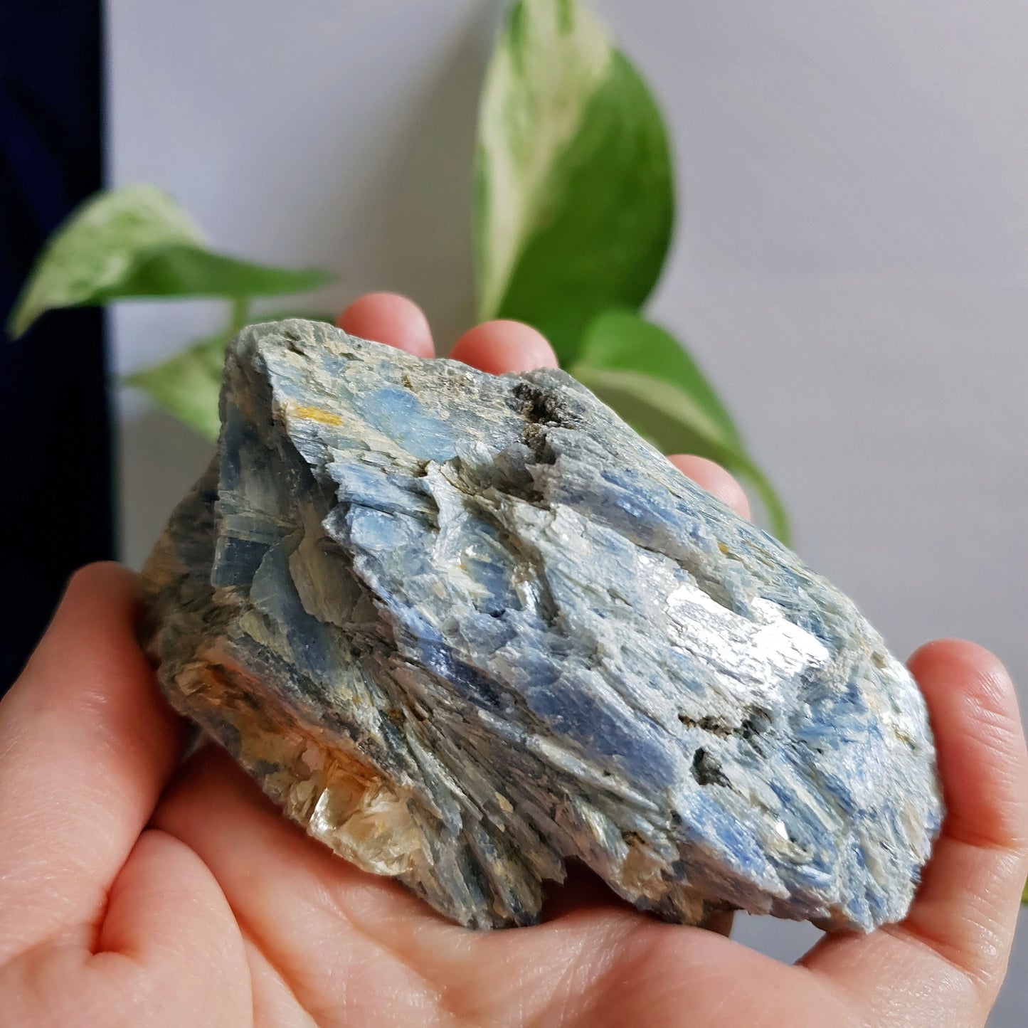 Blue Kyanite Blade Cluster - Raw - Natural - Crystal - Chakra - Gemstone - Chunk - #4