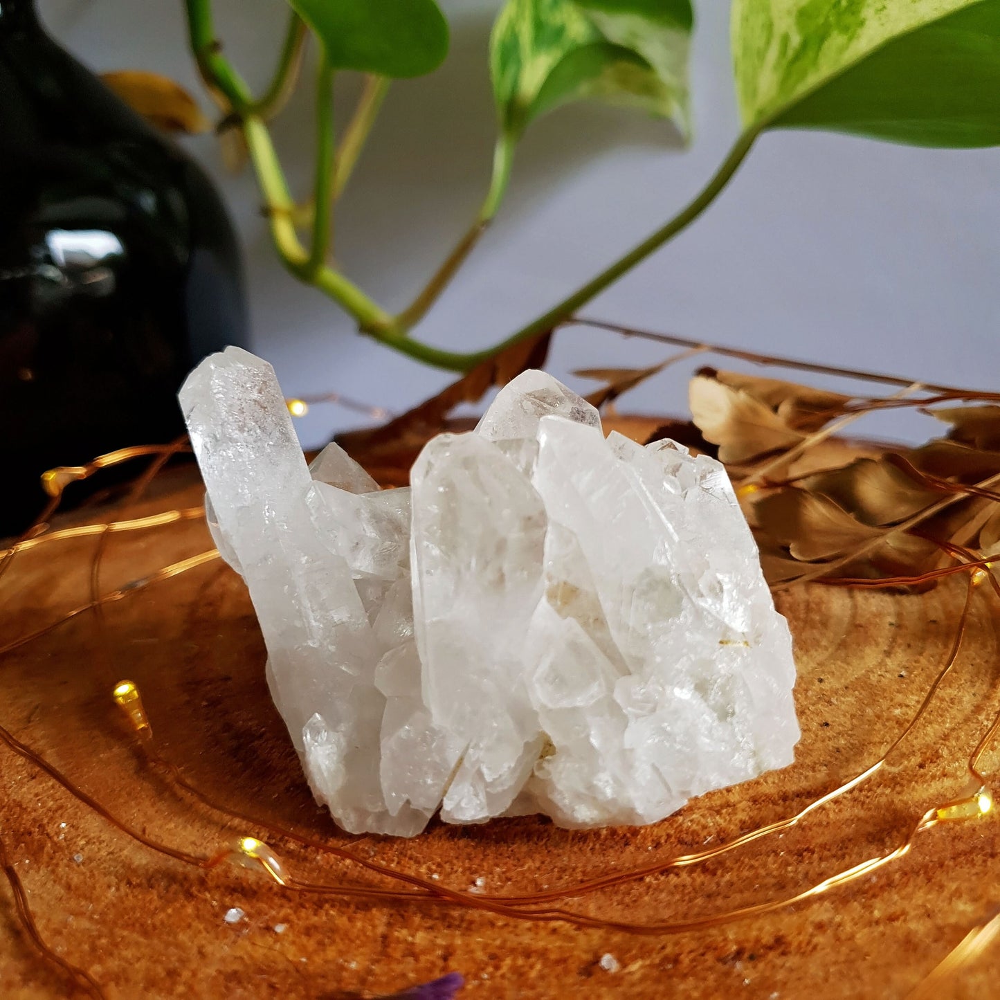 Clear Quartz Cluster #8
