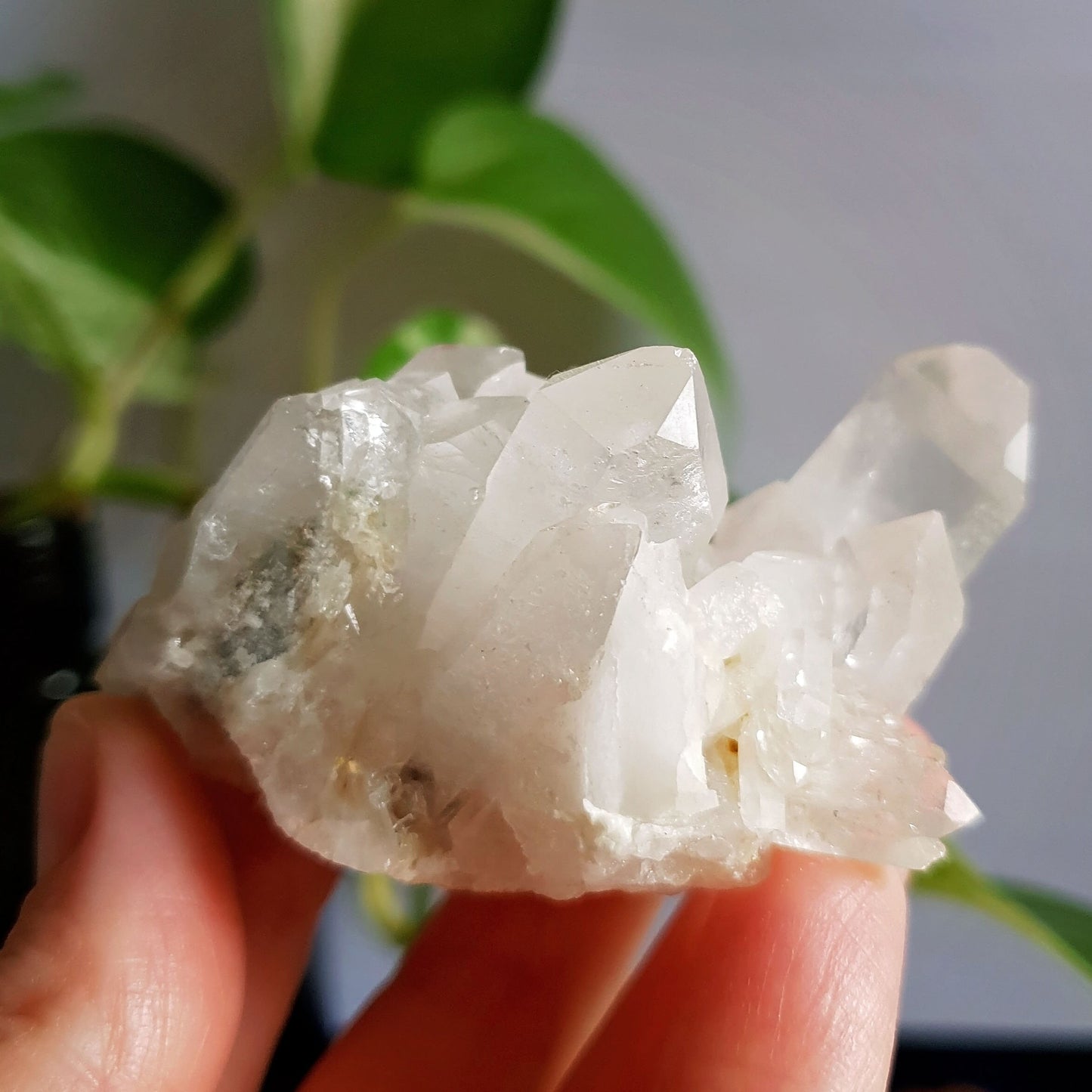 Clear Quartz Cluster #8