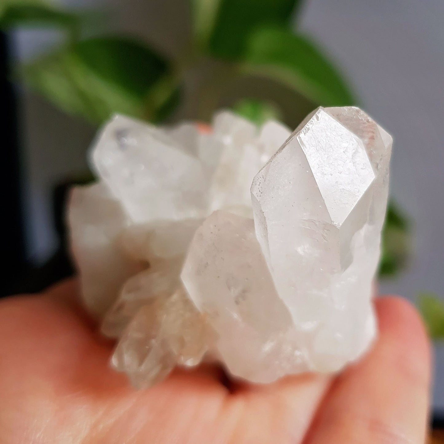 Clear Quartz Cluster #8