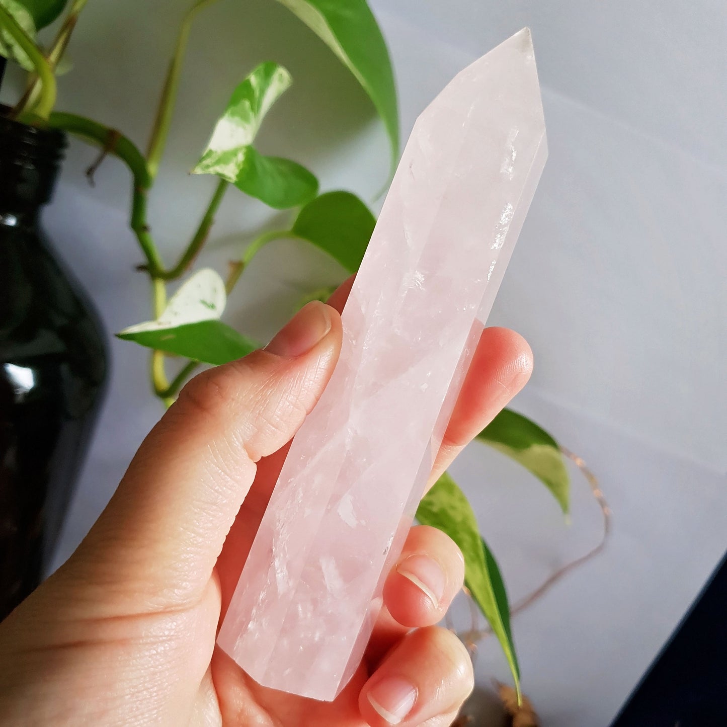 Rose Quartz Polished Point #3