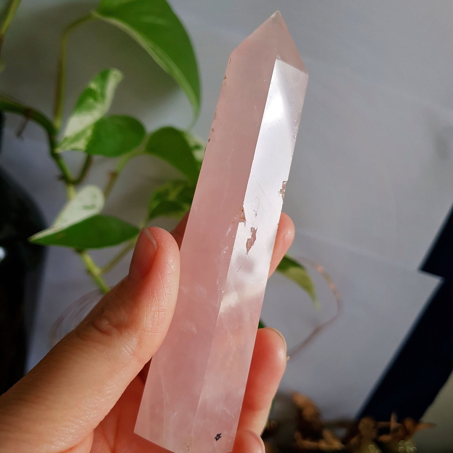 Rose Quartz Polished Point #8