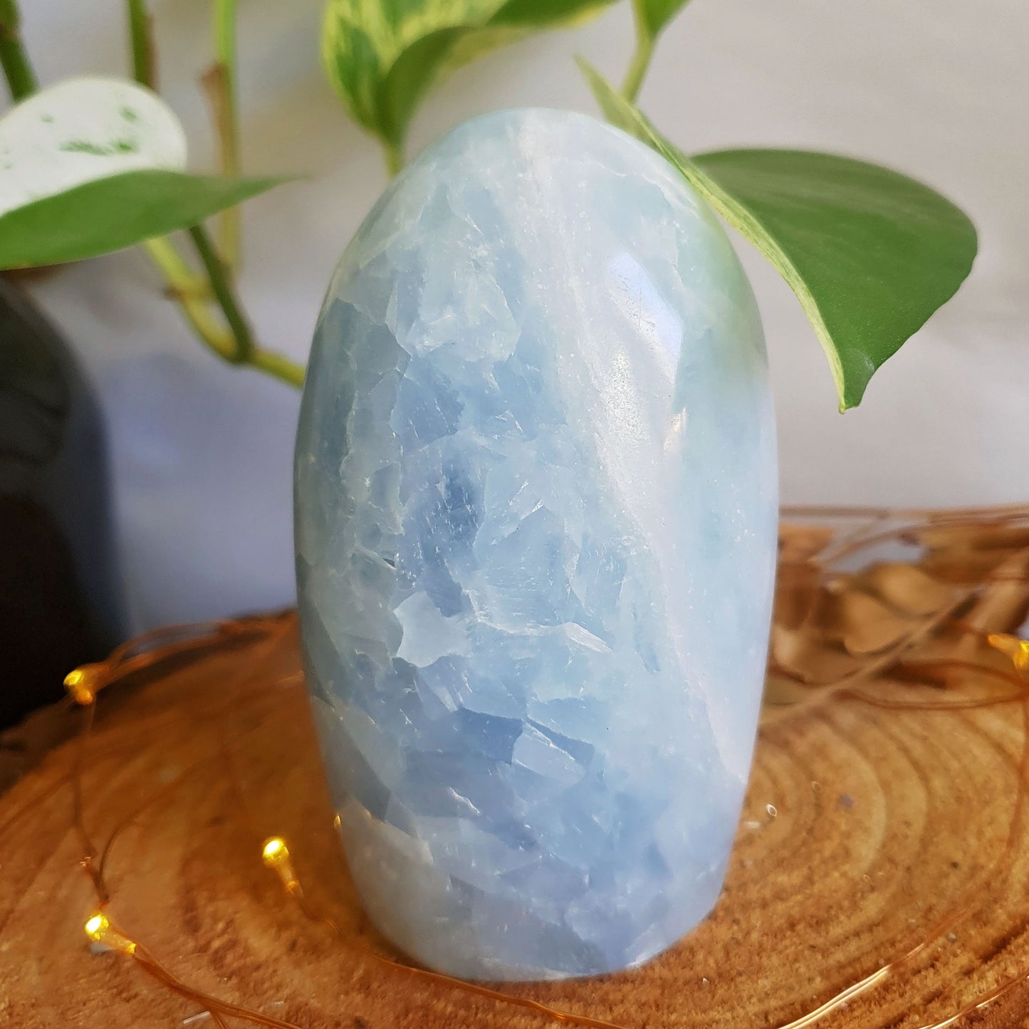 Blue Calcite Polished Freeform #1