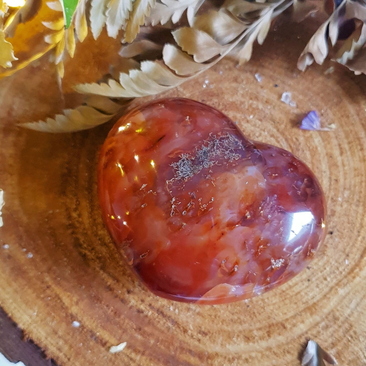 Carnelian Polished Heart #3