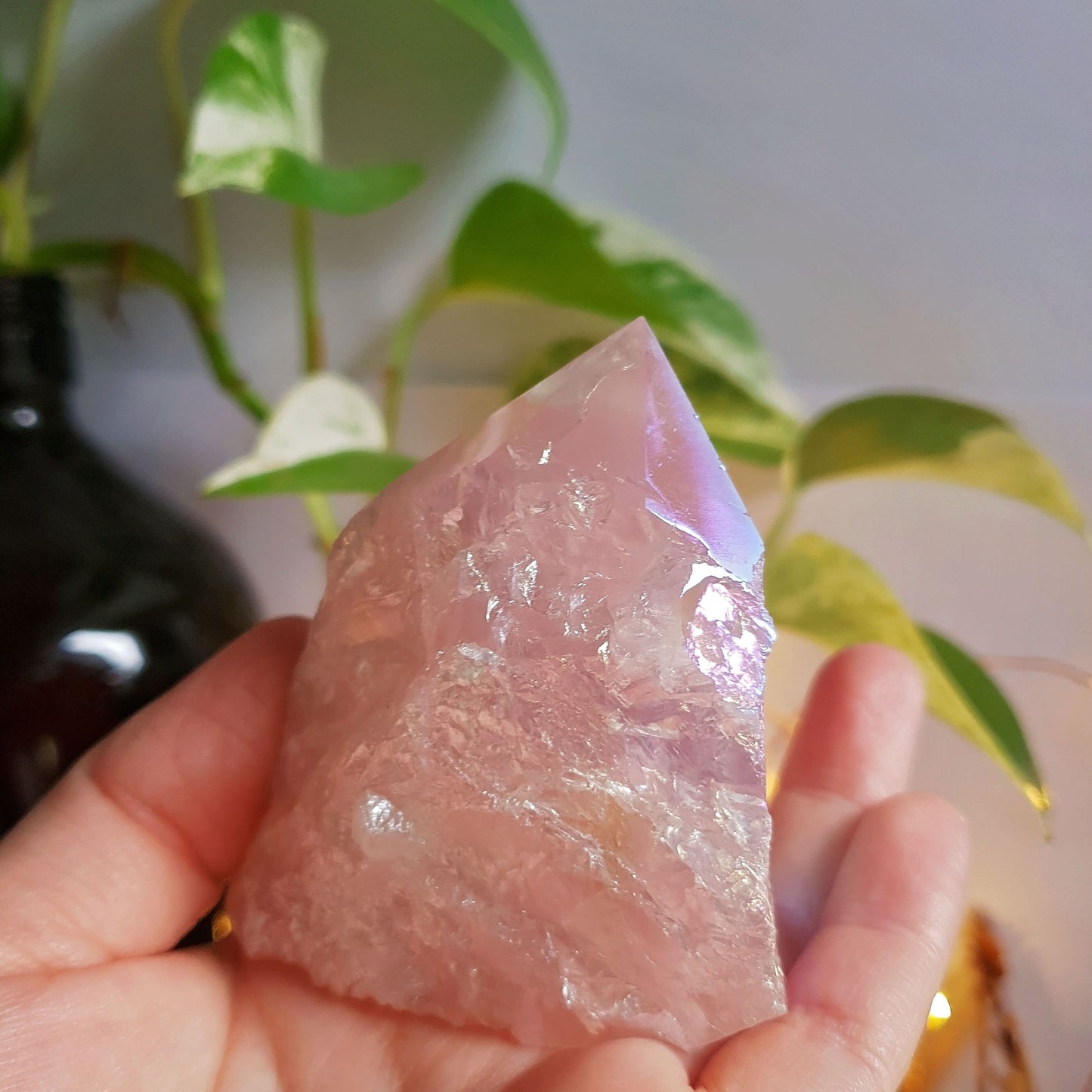 Angel Aura Rose Quartz Polished Point Base Cut #3