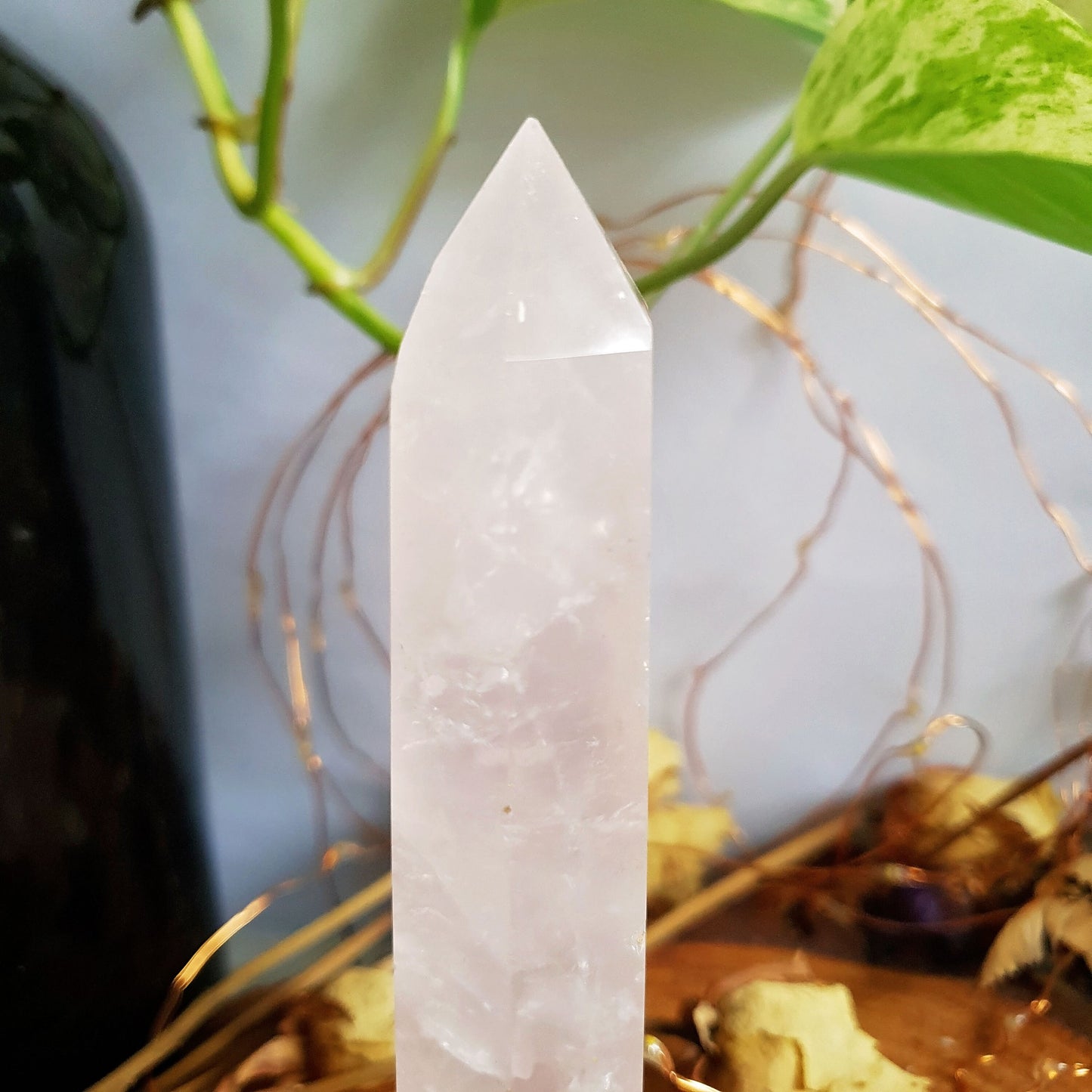Rose Quartz Polished Point #2
