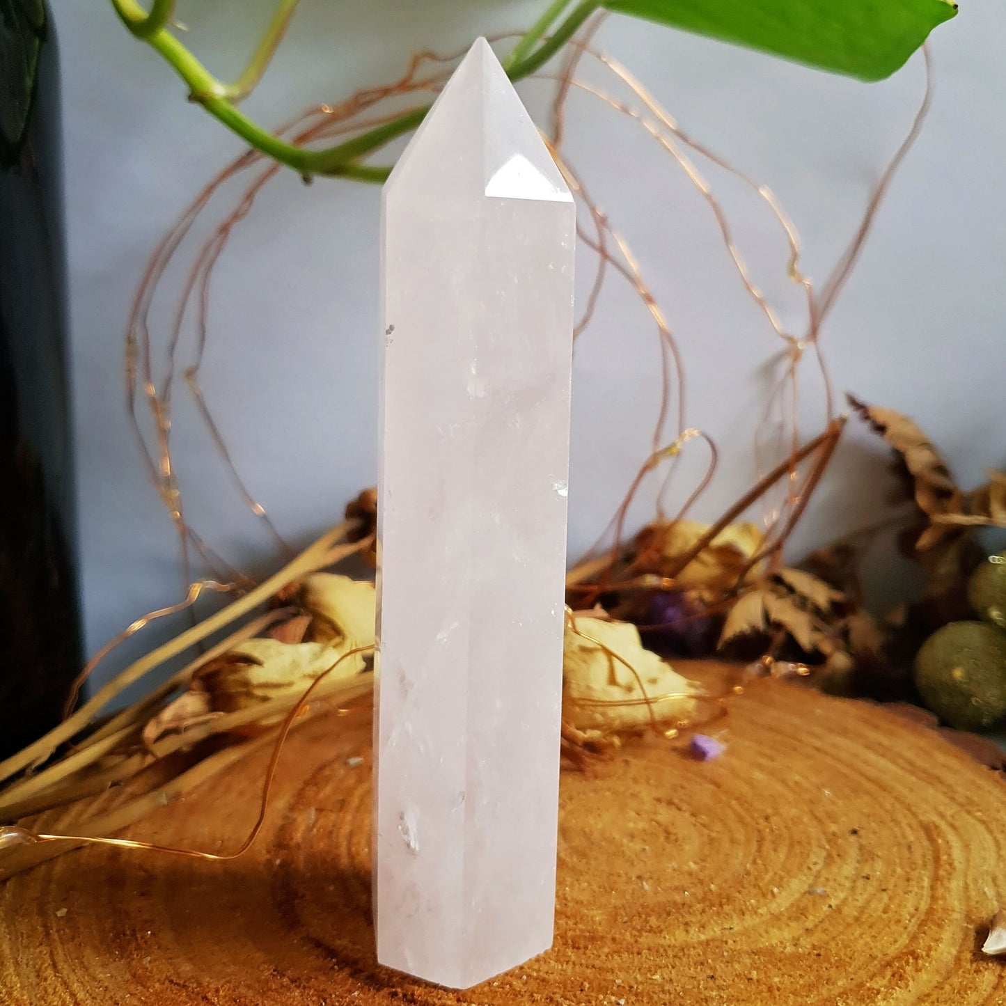 Rose Quartz Polished Point #3