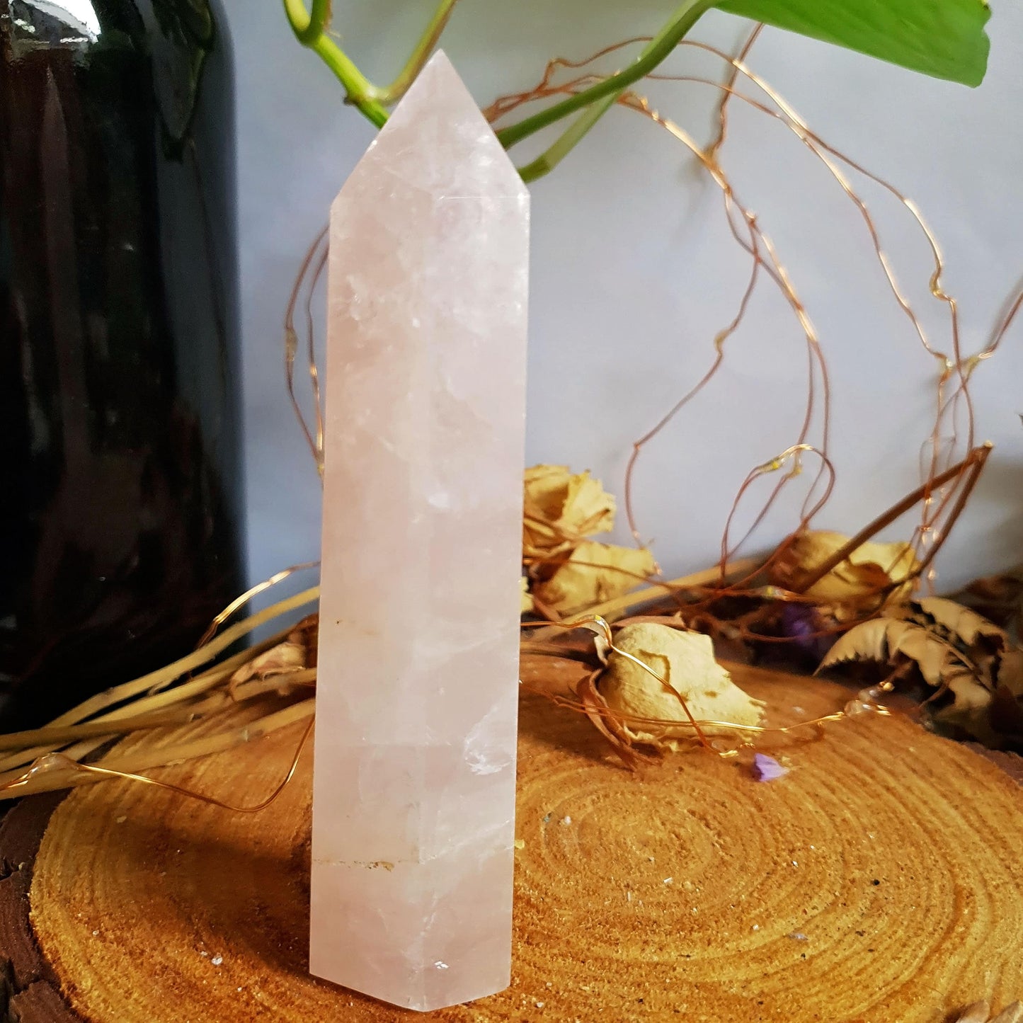 Rose Quartz Polished Point #4