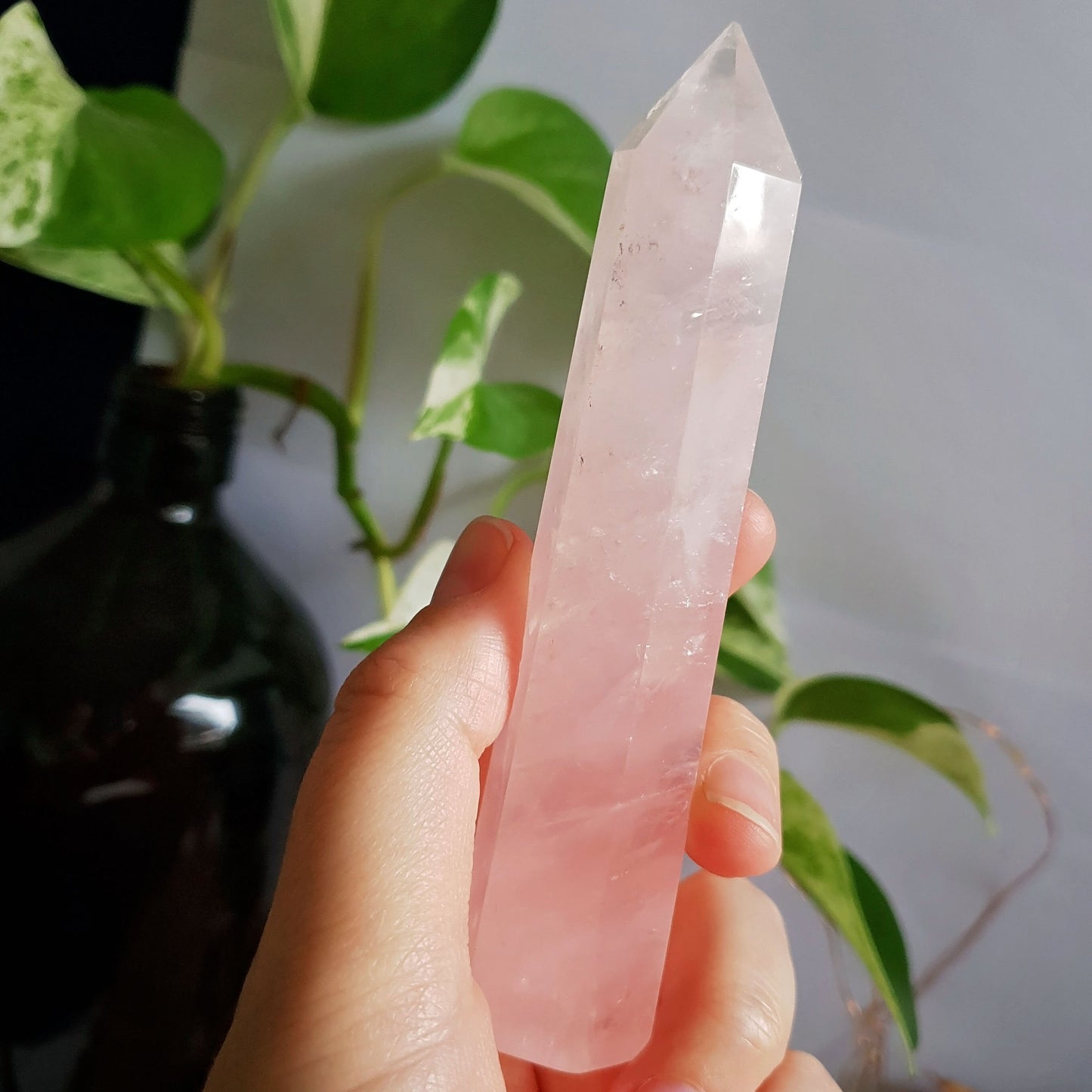 Rose Quartz Polished Point #5