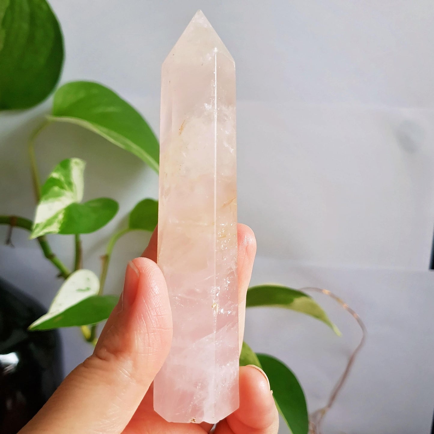 Rose Quartz Polished Point #6