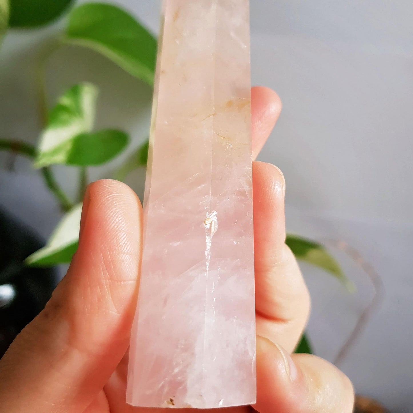 Rose Quartz Polished Point #6