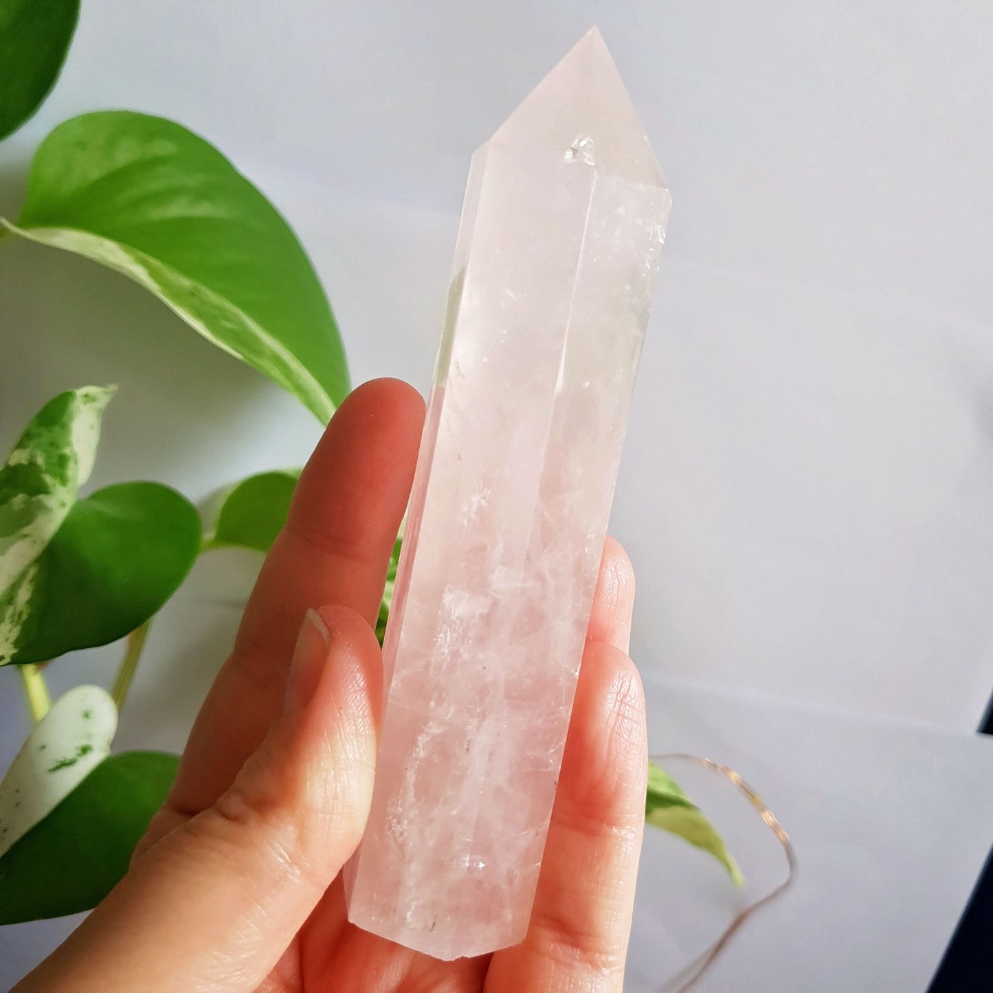 Rose Quartz Polished Point #7