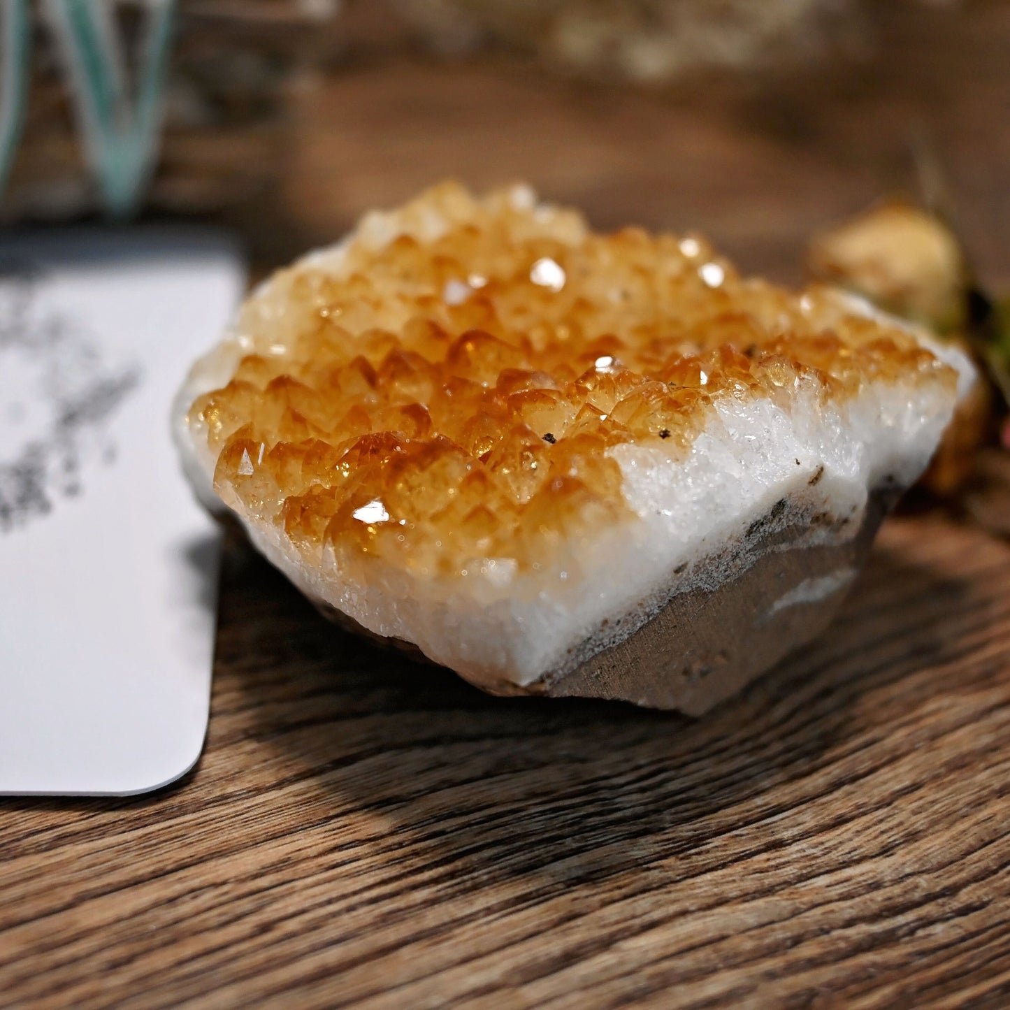 Citrine Cluster #2