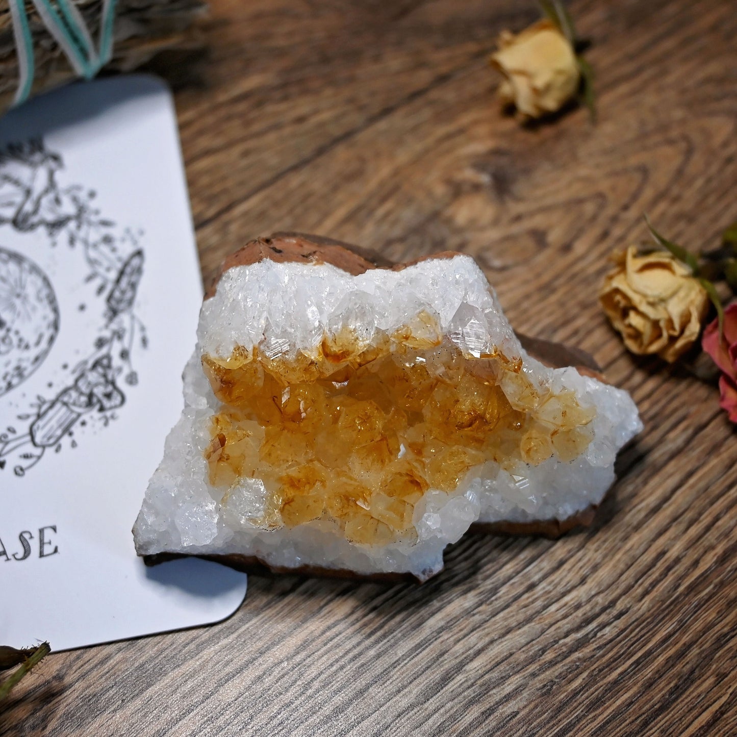 Citrine Cluster #4