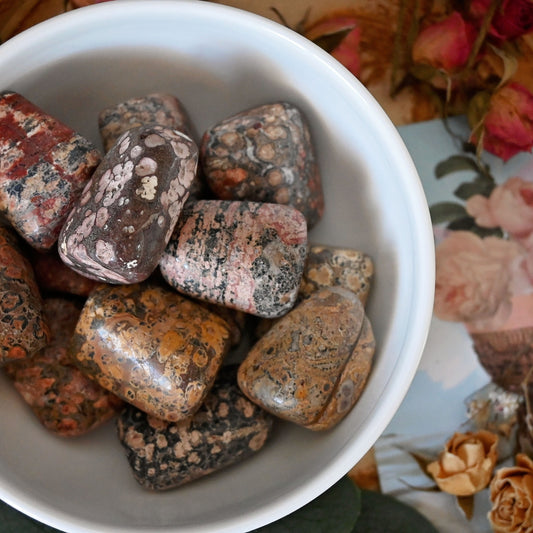 Leopard Jasper Tumbles