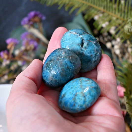 Apatite Tumbles - XXLarge