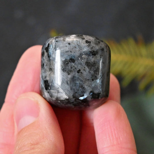 Larvikite Tumbles - Black Moonstone - XLarge