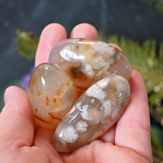 Flower Agate Tumbles - XXLarge