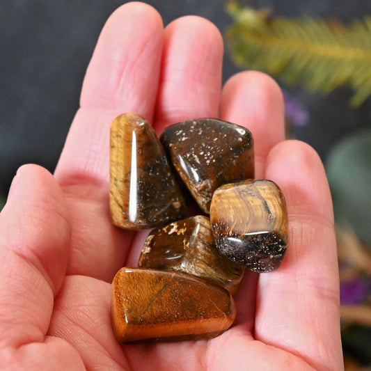 Tiger Eye Tumbles - XSmall