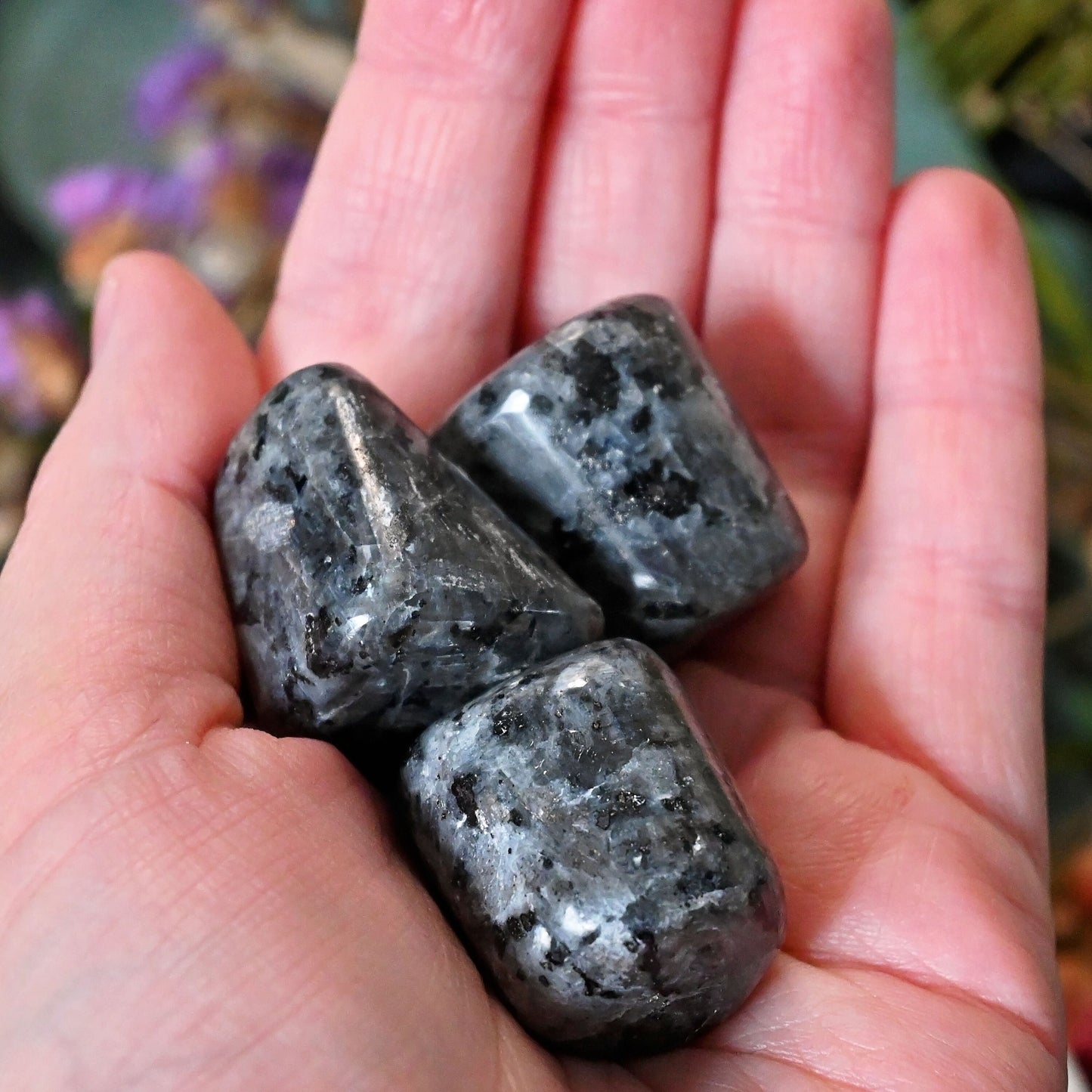 Larvikite Tumbles - Large