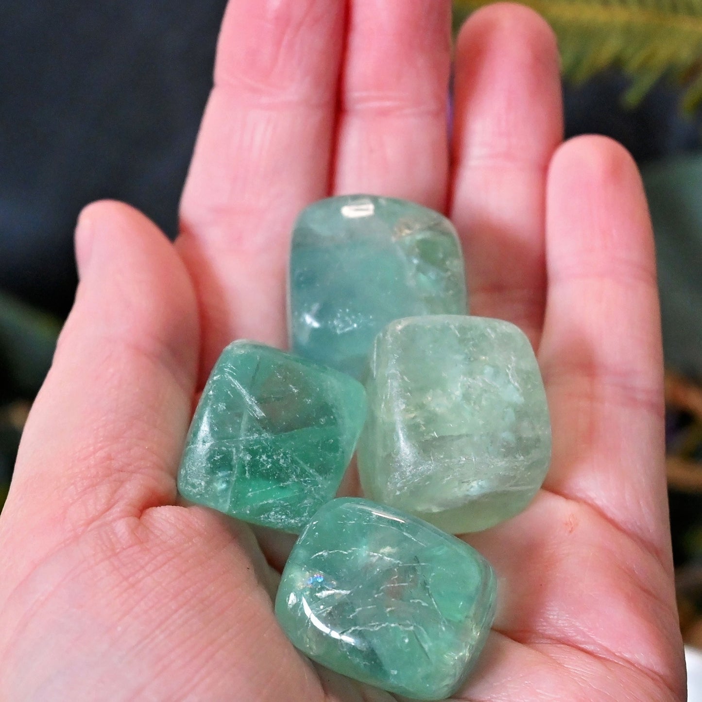 Green Fluorite Tumbles - XLarge