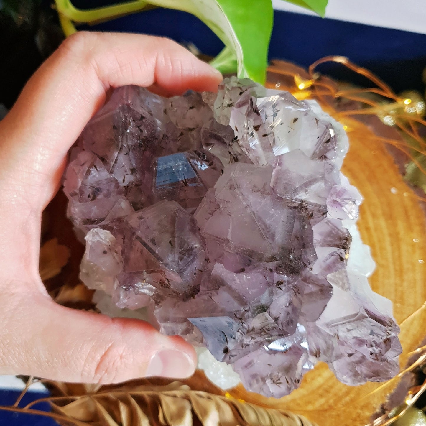 Large Amethyst Cluster -#8
