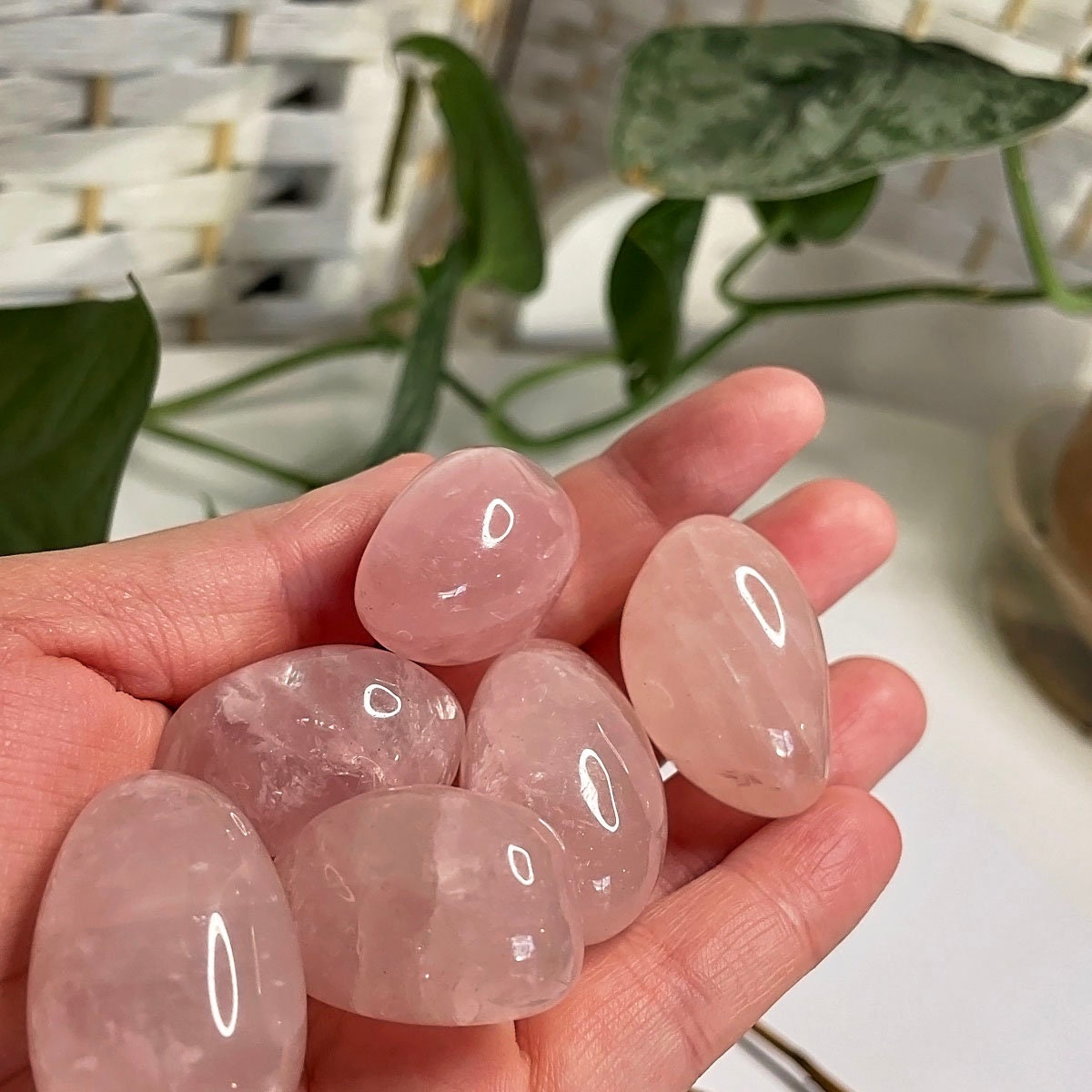 Rose Quartz Tumbles - XXXLarge