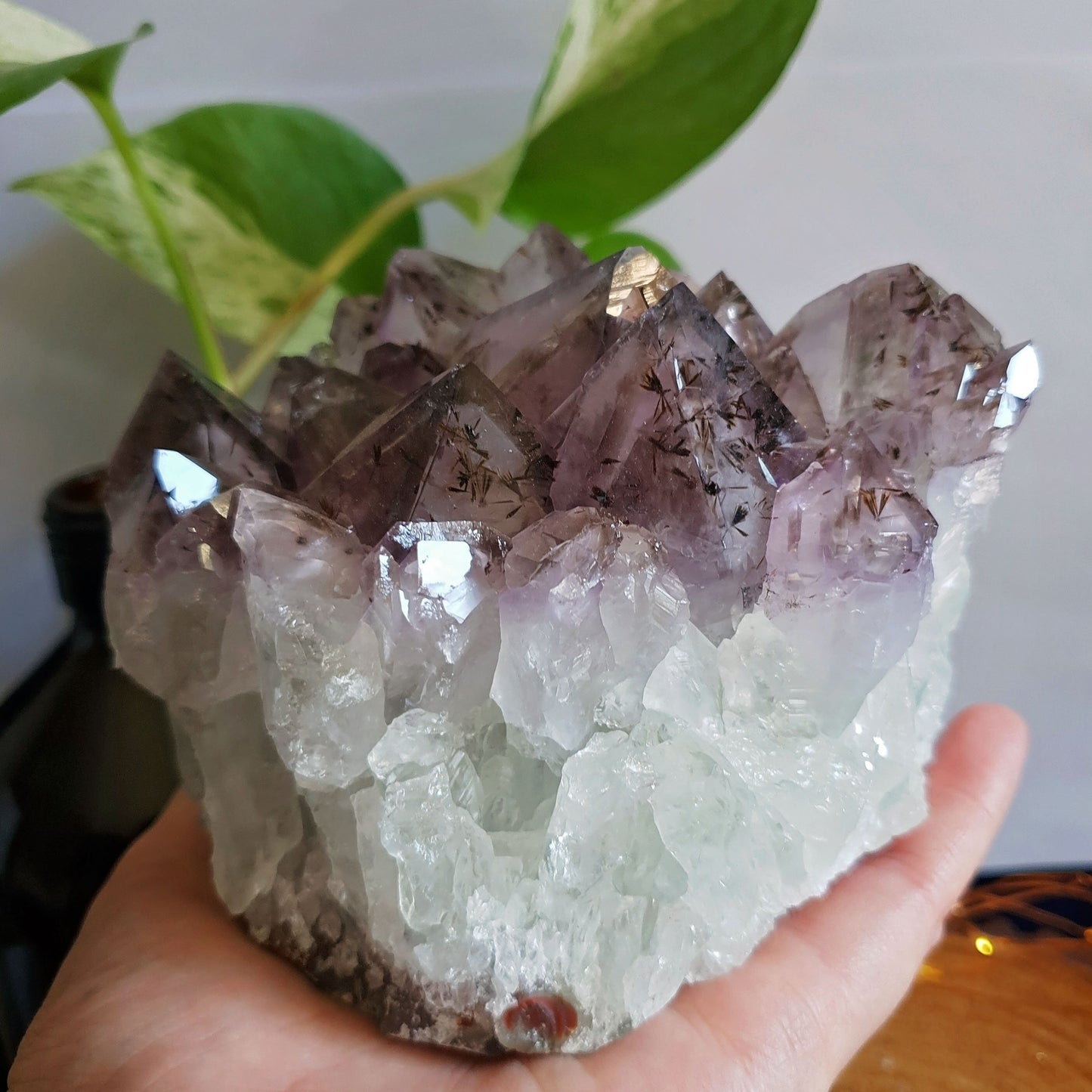 Large Amethyst Cluster -#8