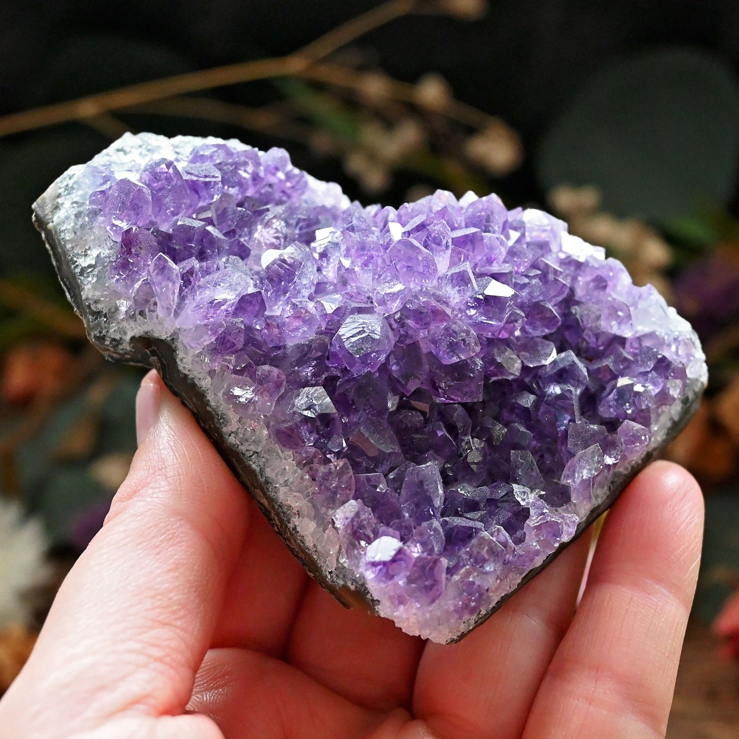 Amethyst Cluster #1