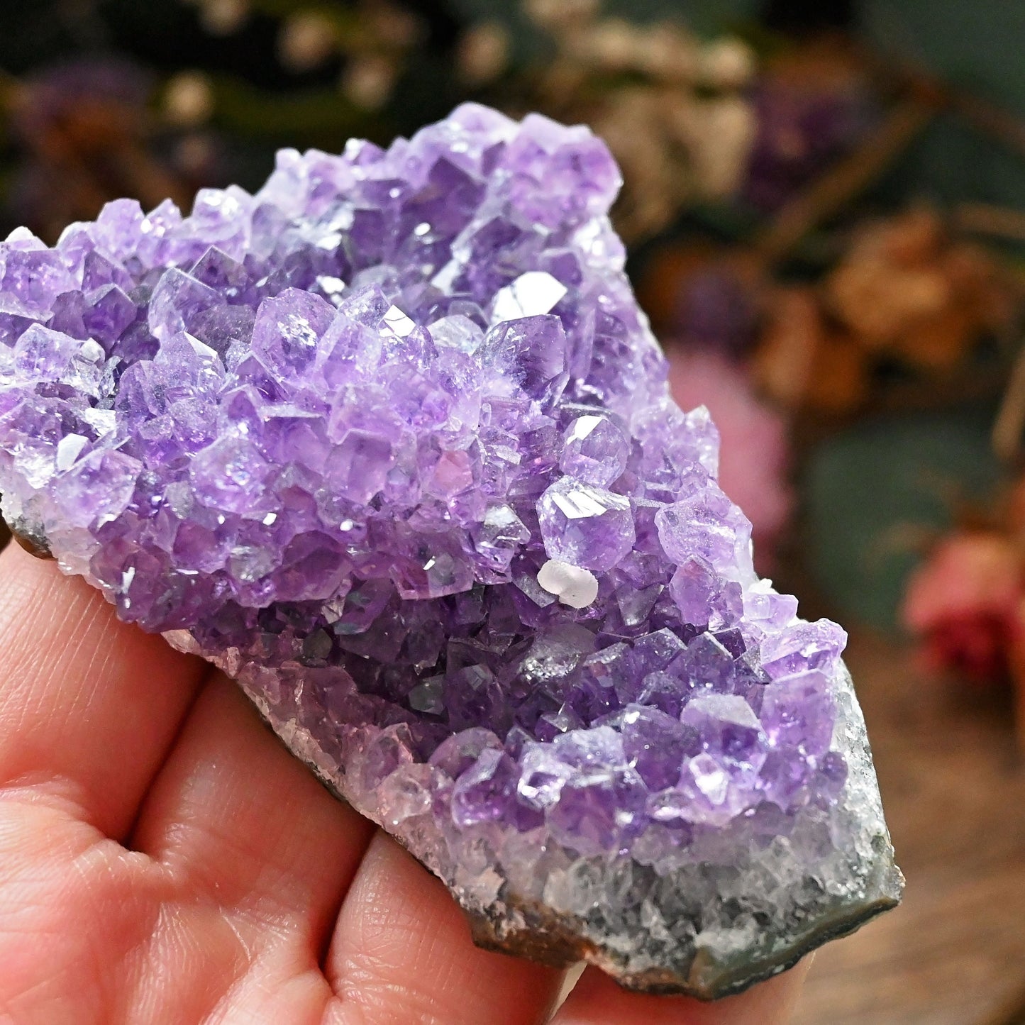 Amethyst Cluster #1
