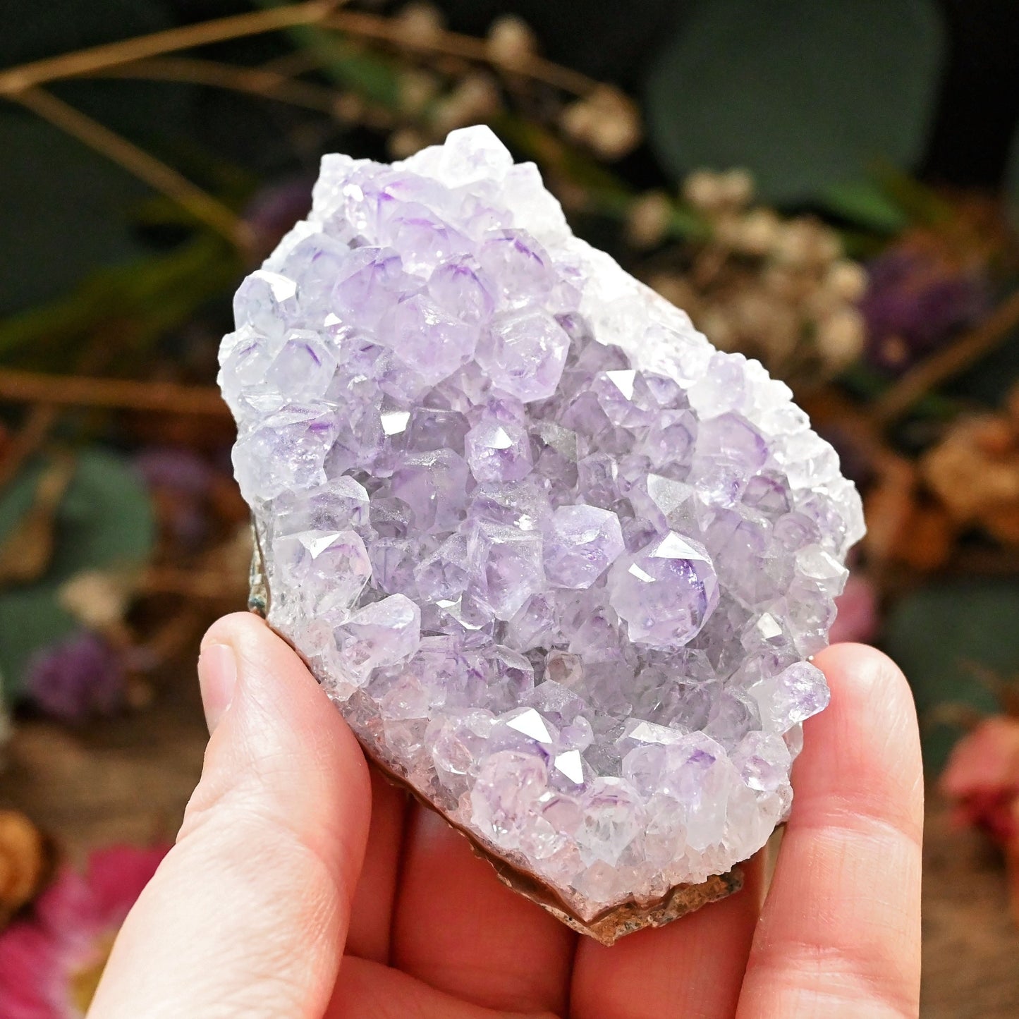Amethyst Cluster #2
