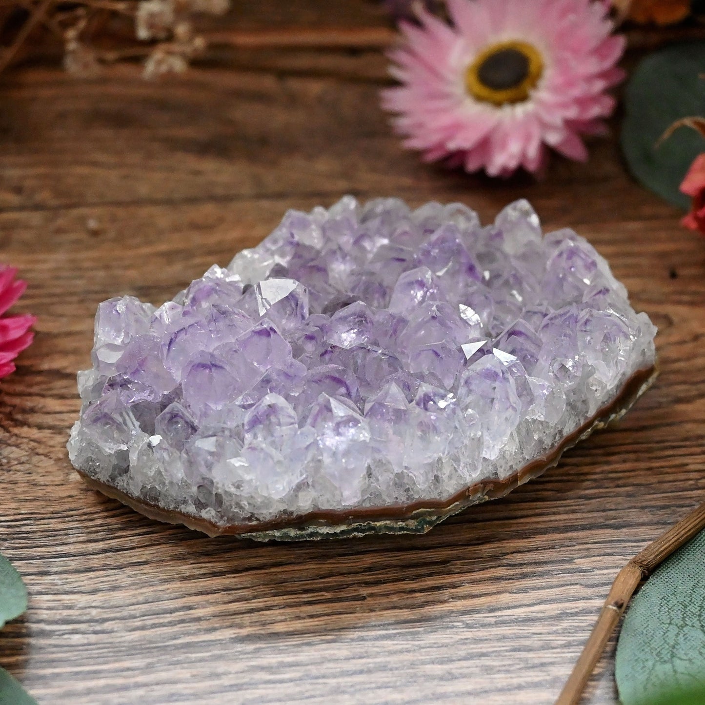Amethyst Cluster #2