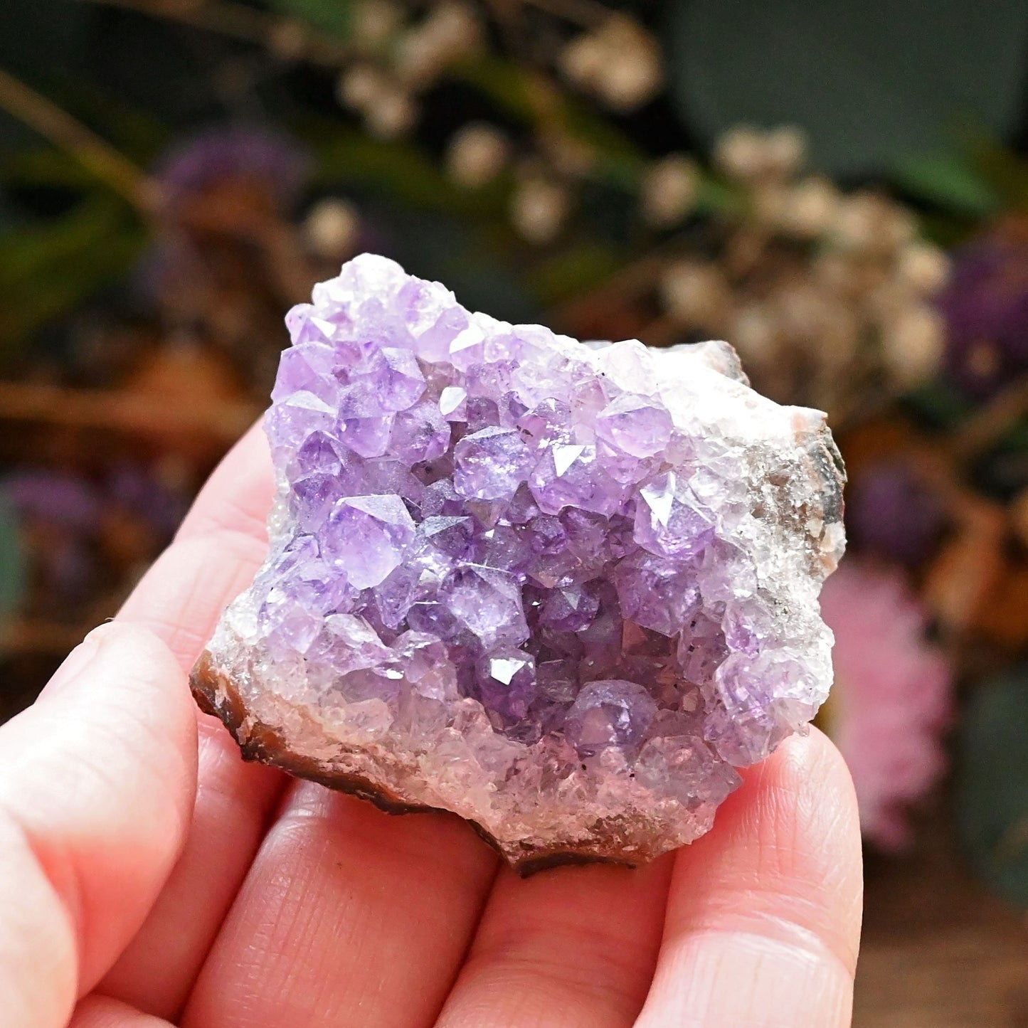 Amethyst Cluster #3