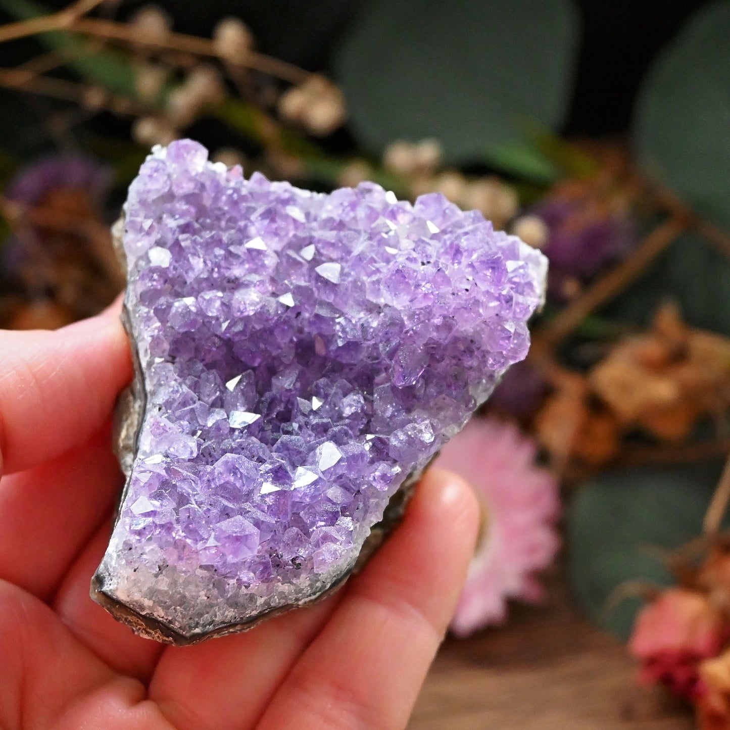 Amethyst Cluster #4