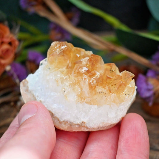 Citrine Cluster #1