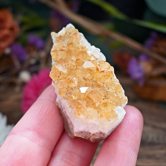 Citrine Cluster #5