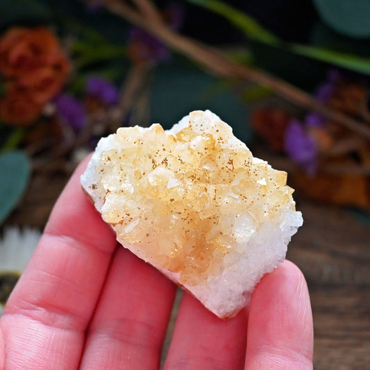 Citrine Cluster #6
