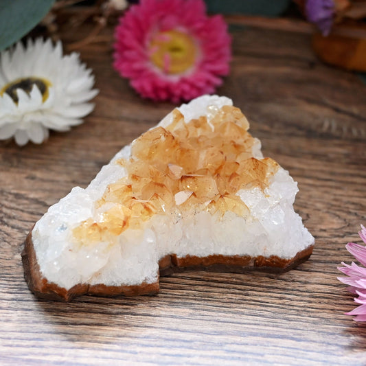Citrine Cluster #8
