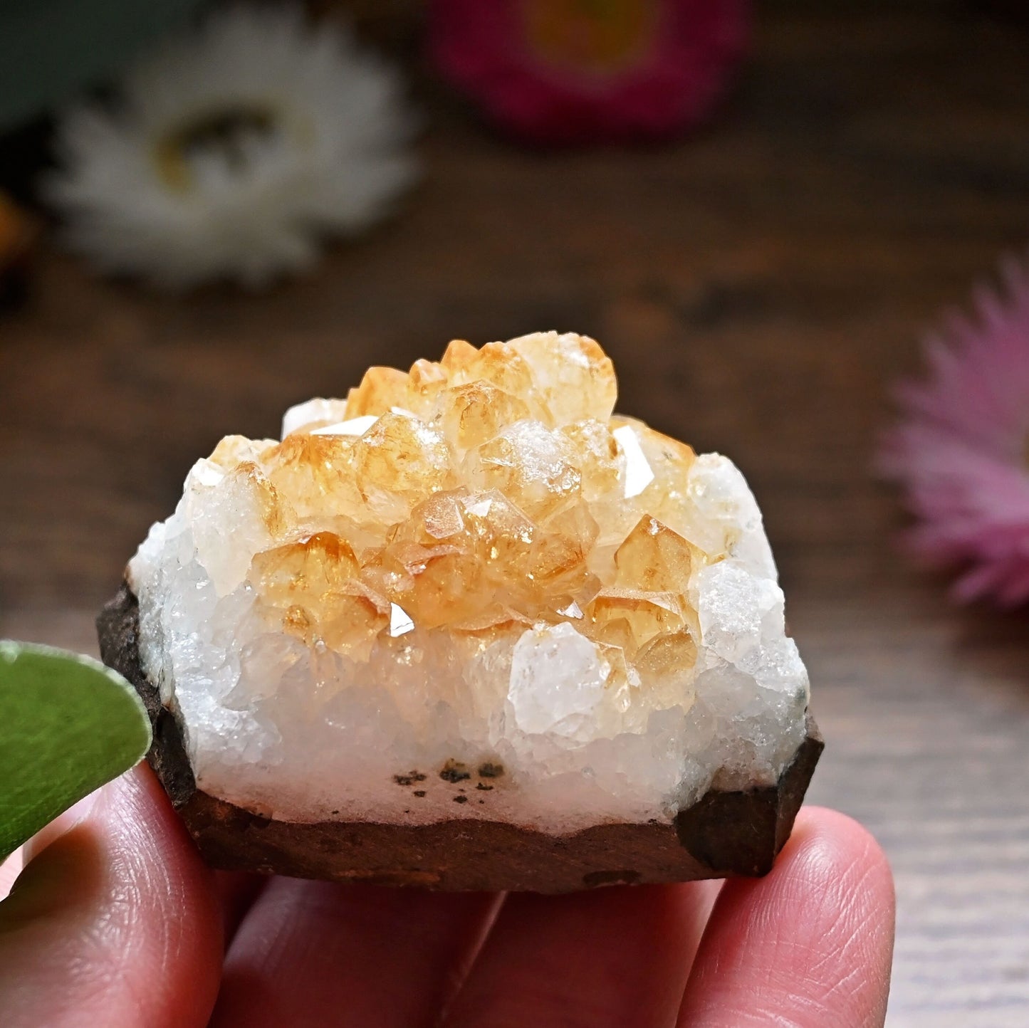 Citrine Cluster #9
